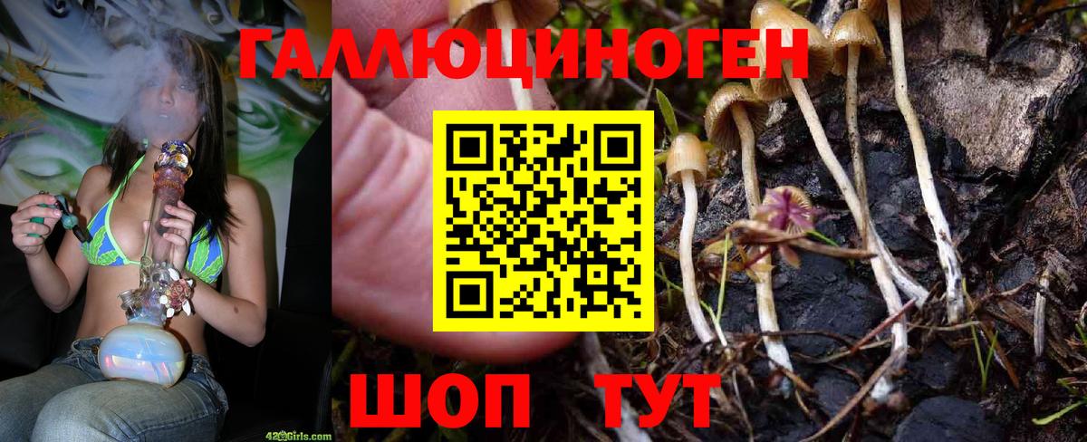 Верхняя Пышма  Галлюциногенные грибы GOLDEN TEACHER  Вход с VPN 